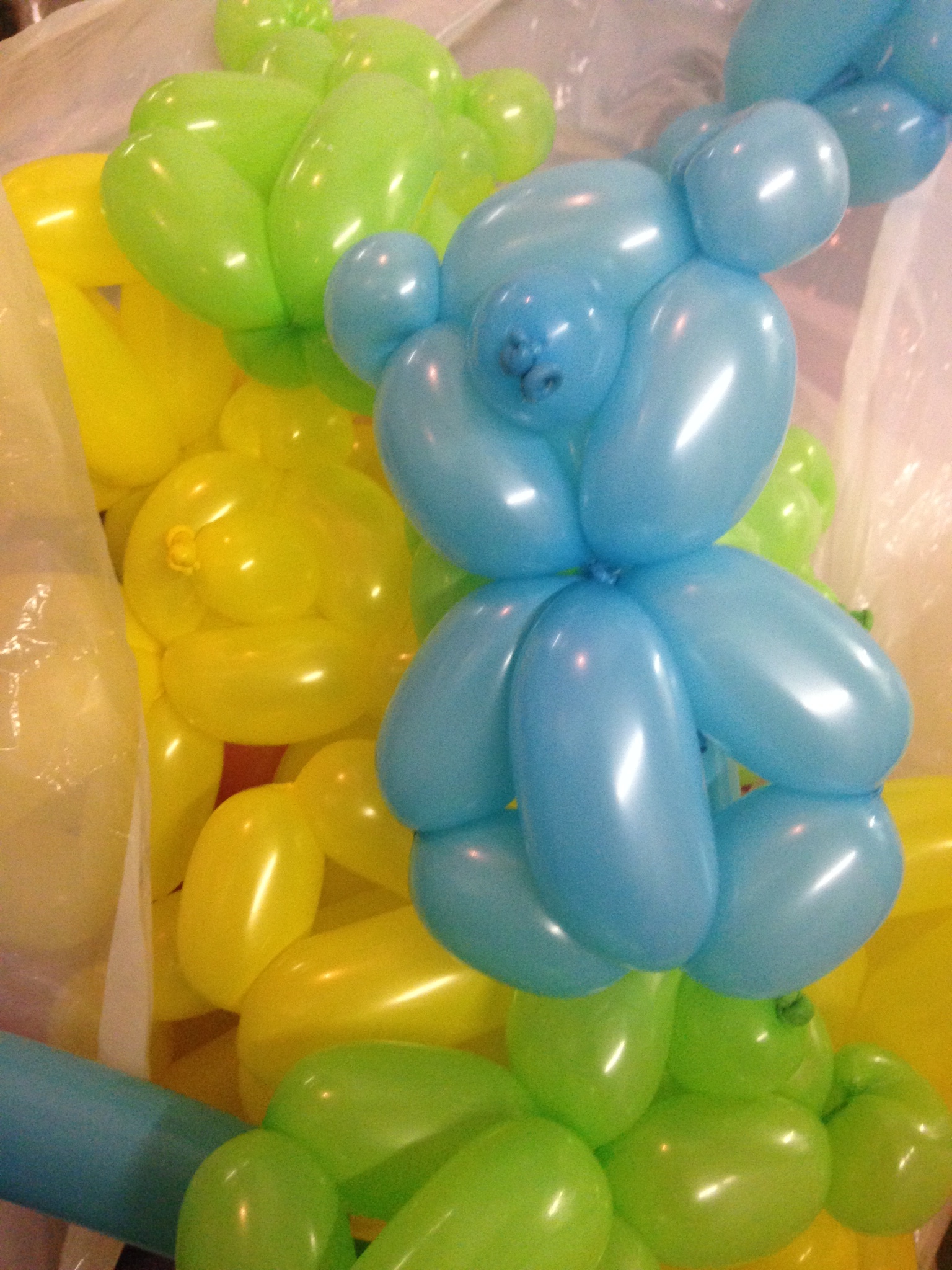 Balloon Twisting - Daisy 